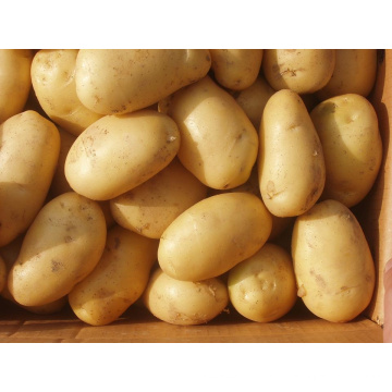 Cartón Packing Fresh Potato (50-100G 100-150G 150-200G 200G Y ARRIBA)